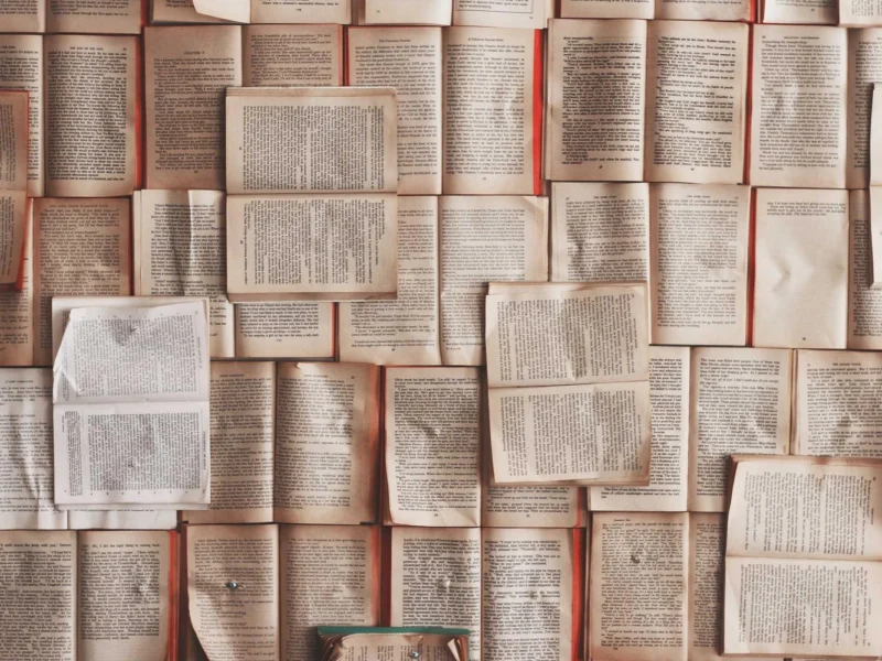 Раскрытые книжные страницы, разложенные рядами